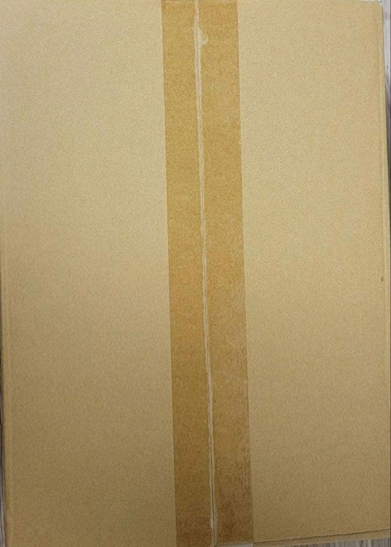 【新品・未開封】ホロライブカードゲーム　クインテットスペクトラム 1カートン