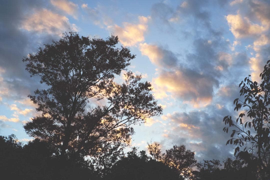 超レア ELCAN 35mmF2.8 Fuji フジFX　ガンカメラレンズ