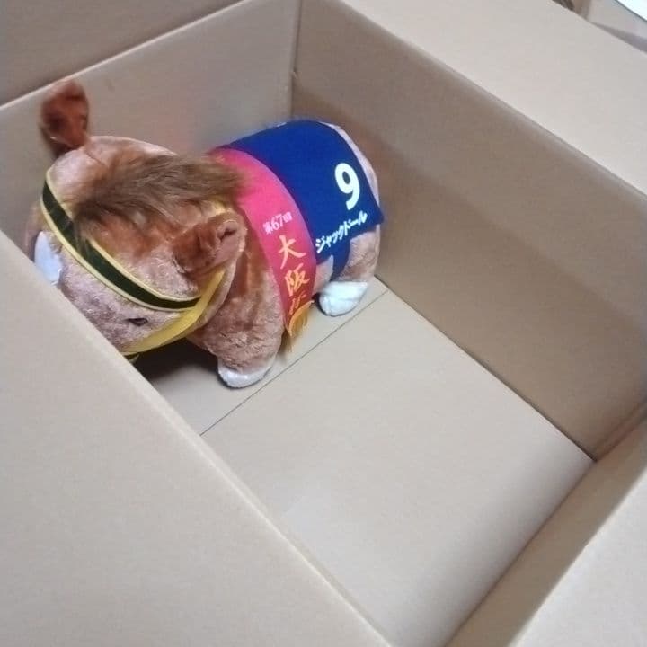 詰め放題　120サイズ