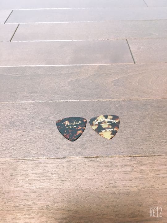 AriaProllエレキギター、カバー、アンプ、ピック、手入れ道具、シールド、本