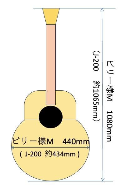【新品、未使用】THE NORTH FACE ギターケース　150個限定