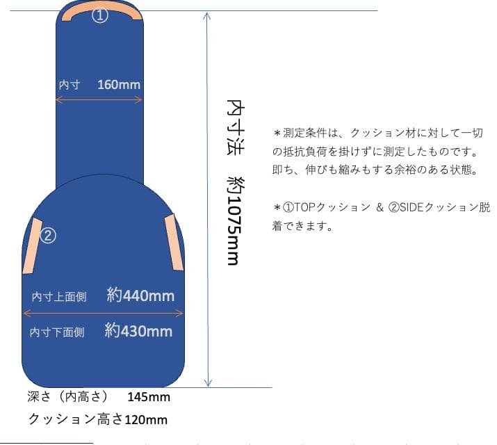 【新品、未使用】THE NORTH FACE ギターケース　150個限定