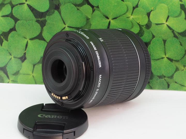 【美品】キヤノンEF-S18-55mm STM 標準ズームレンズ⭐️手ブレ機能付