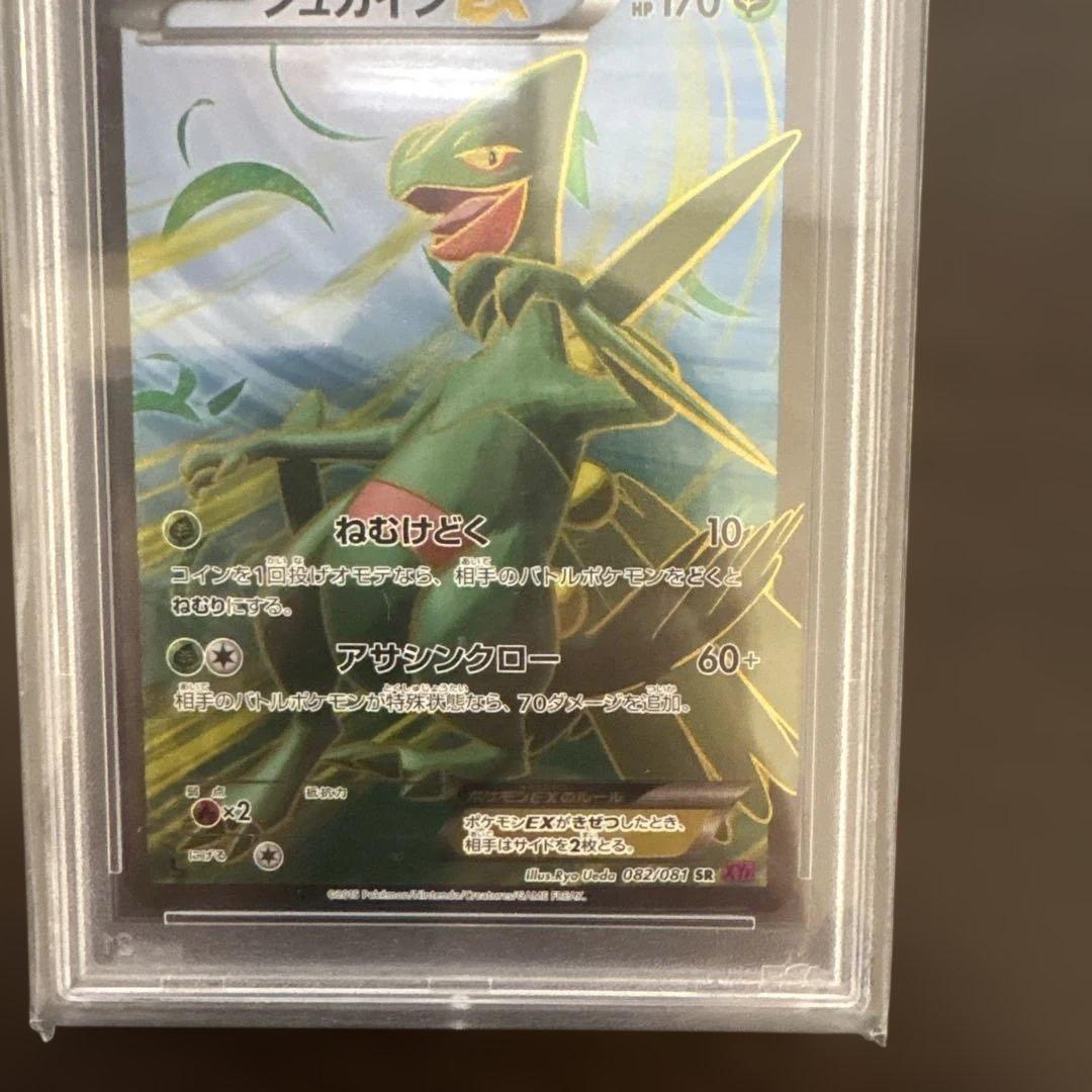 XY バンデットリング ジュカインSR PSA10