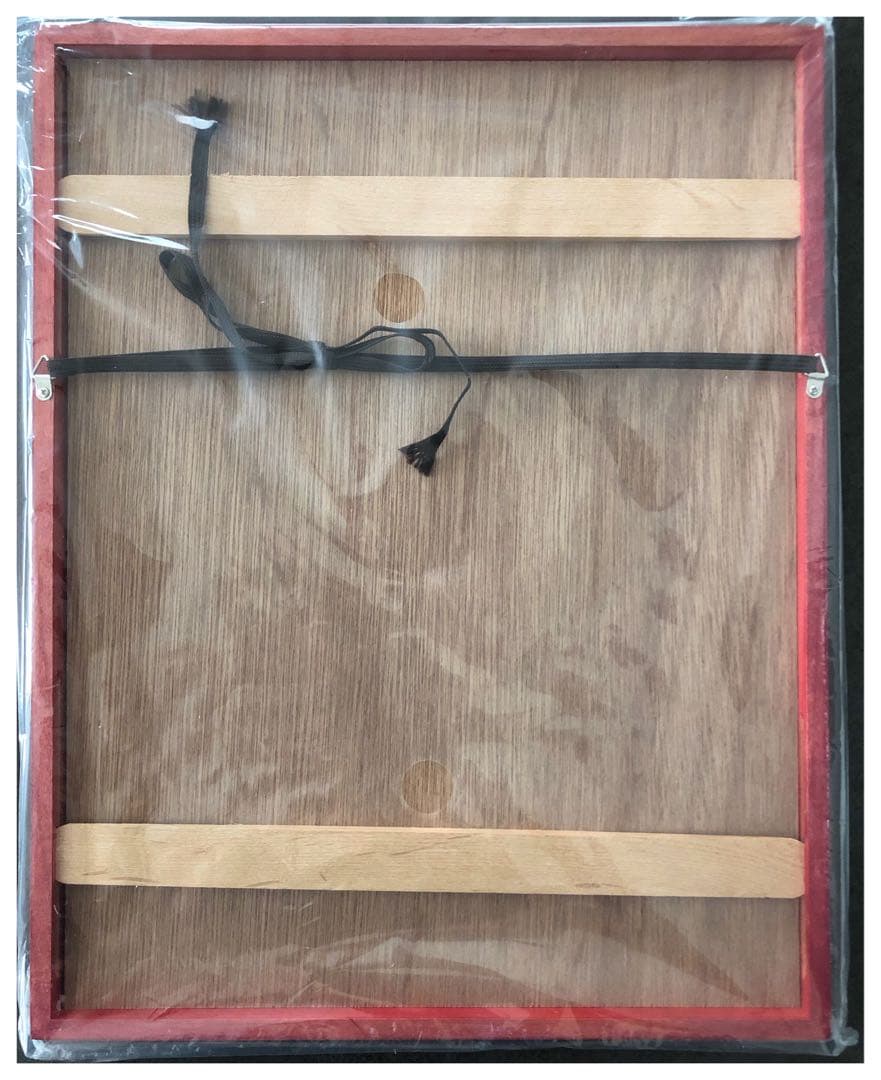 【新品未使用】ドラゴンボール　複製原画　完全版01巻表紙　孫悟空