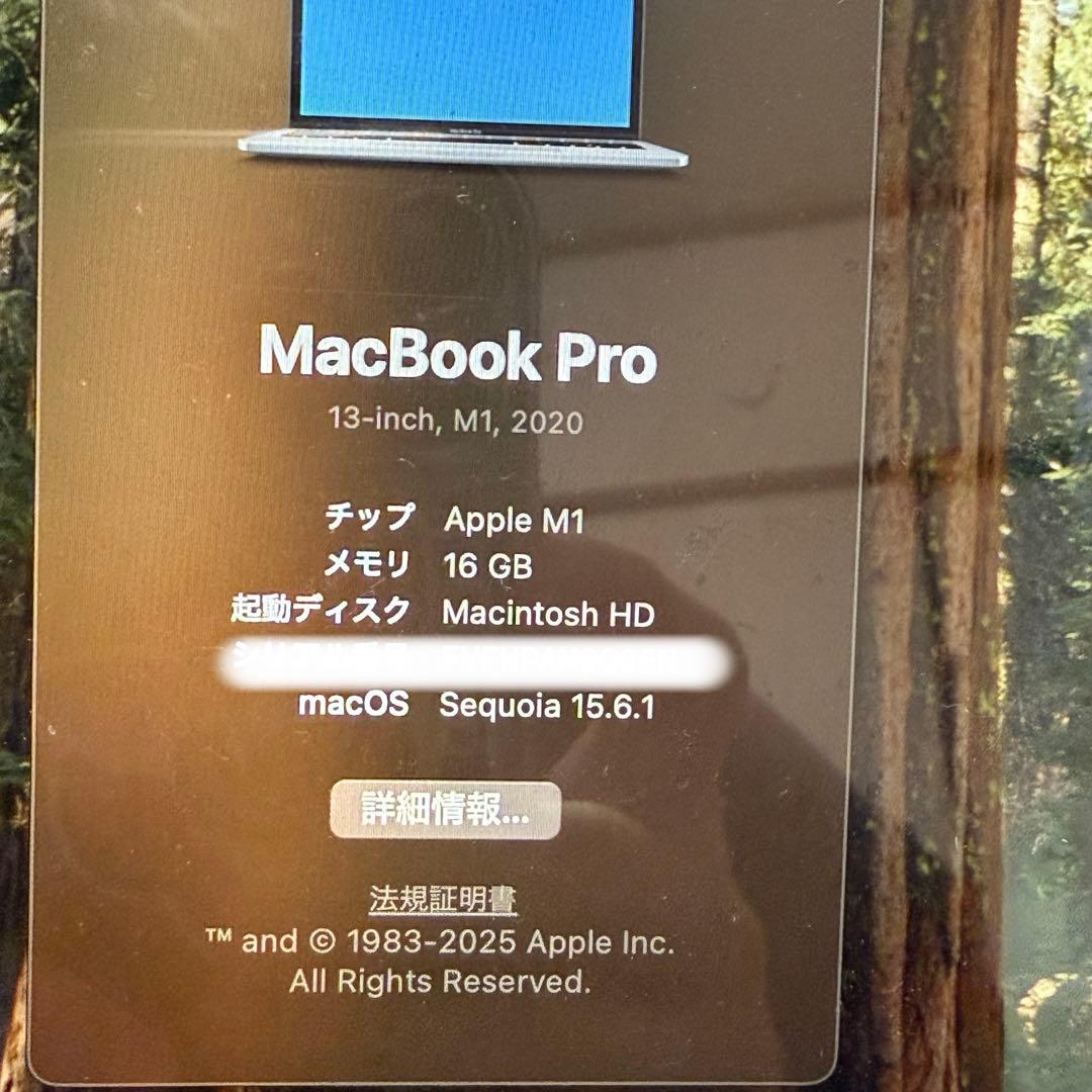 めんたいこ MacBookPro 2020/16GB/512GB