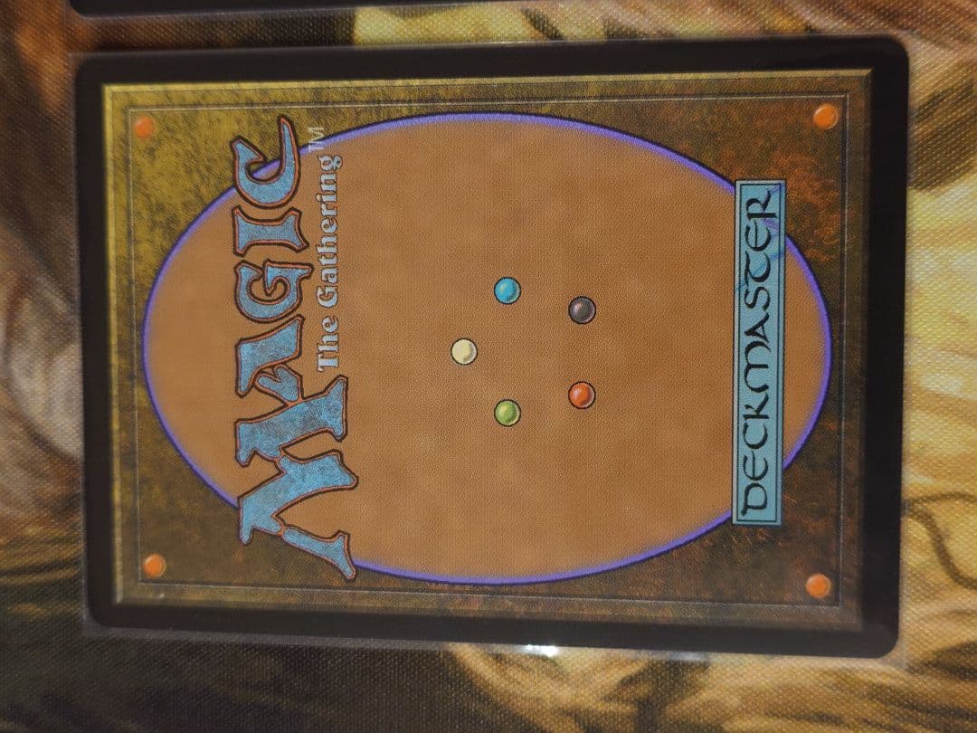 オセロットの群れ　ボーダーレス　2枚セット　日