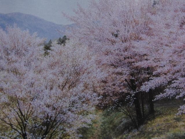 中島康正、【爛漫】、希少な額装用画集より、新品額装付