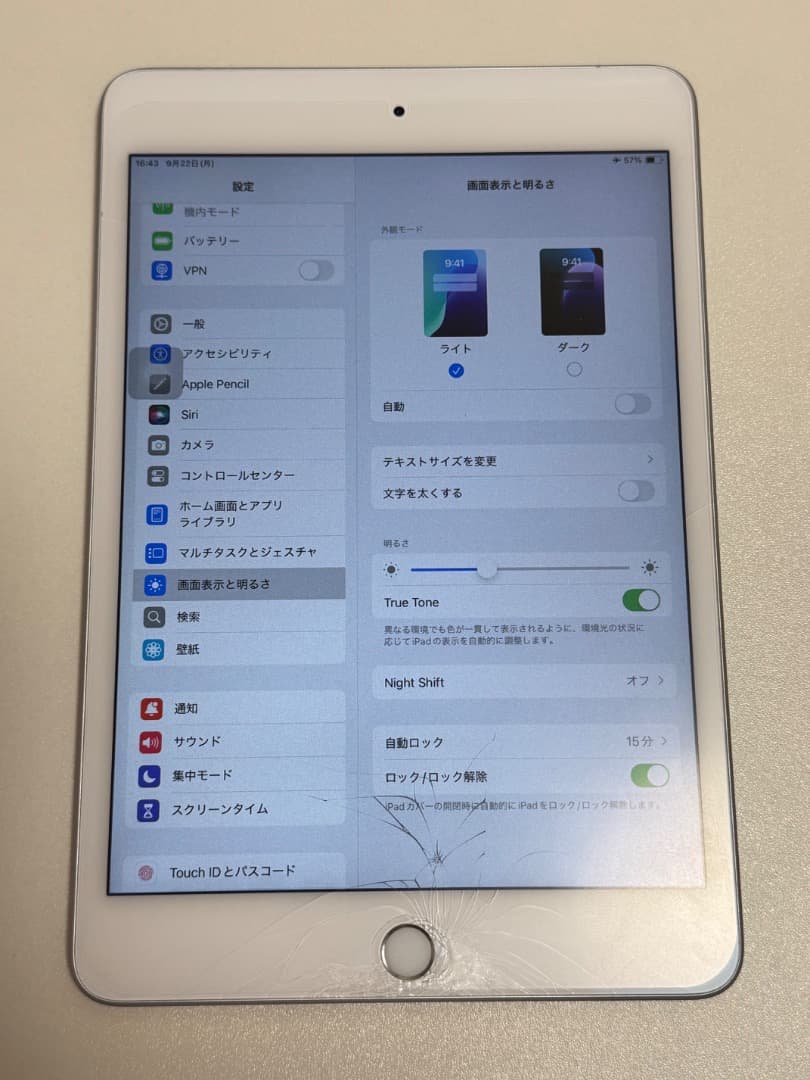 iPad mini 5 cellular 64GB SIMフリー シルバー