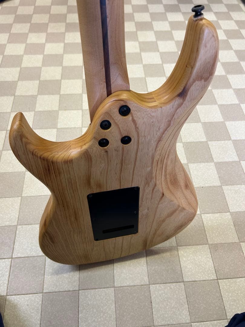 Cort ハイラムブロック シグネイチャーモデル　エレキギター　HBS-II