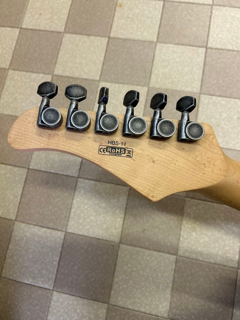 Cort ハイラムブロック シグネイチャーモデル　エレキギター　HBS-II