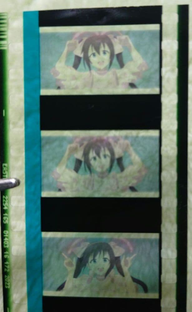 虹ヶ咲学園スクールアイドル同好会 特典 フィルム 桜坂しずく ライブシーン