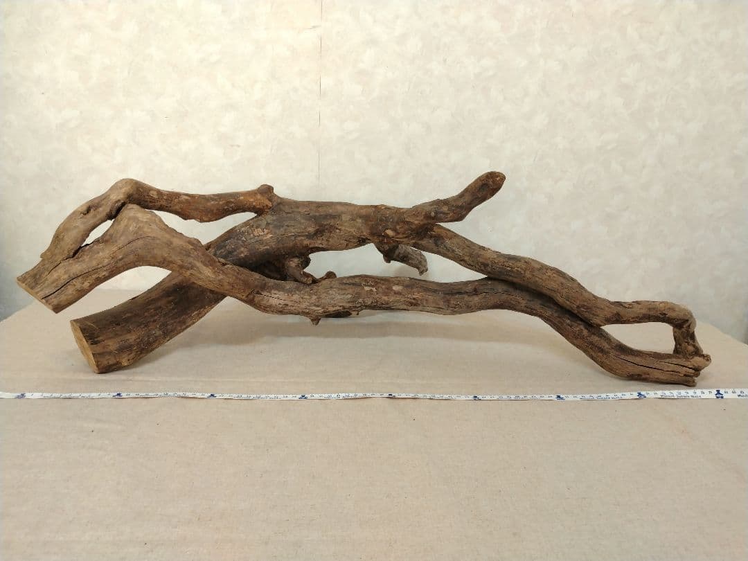 【超希少】アクアリウム・DIY向け 超特大塊根ブランチウッド流木 約80cm