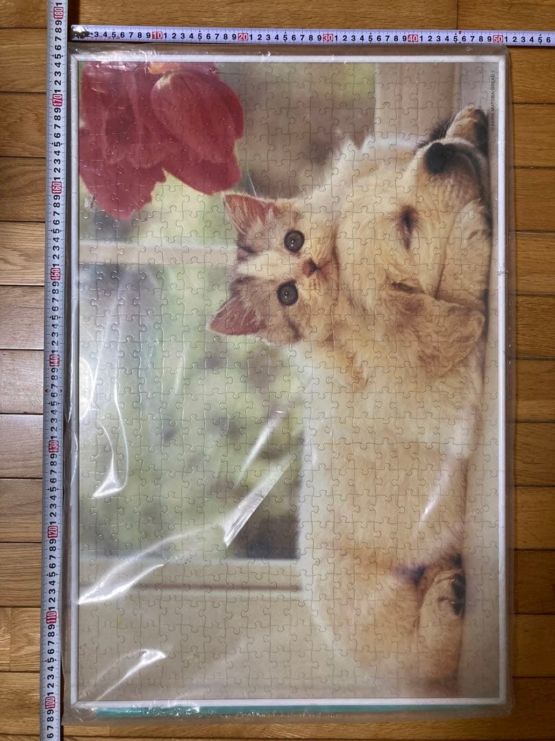 500P⑪犬と猫ᵔᴥᵔ　写真ジグソーパズル　ホワイト額50×75㎝　完成品