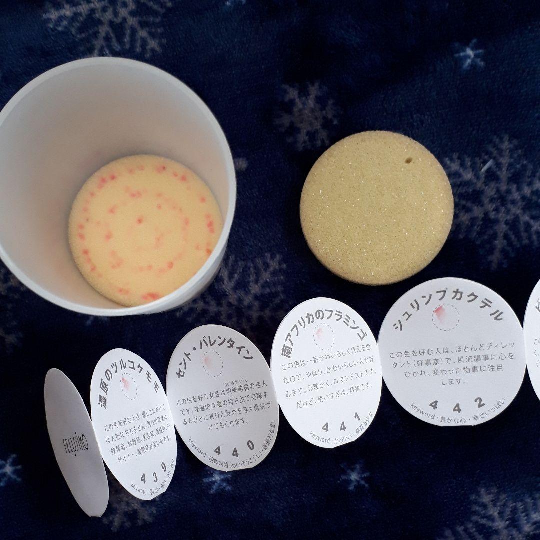 フェリシモ　500色　色鉛筆(中古)