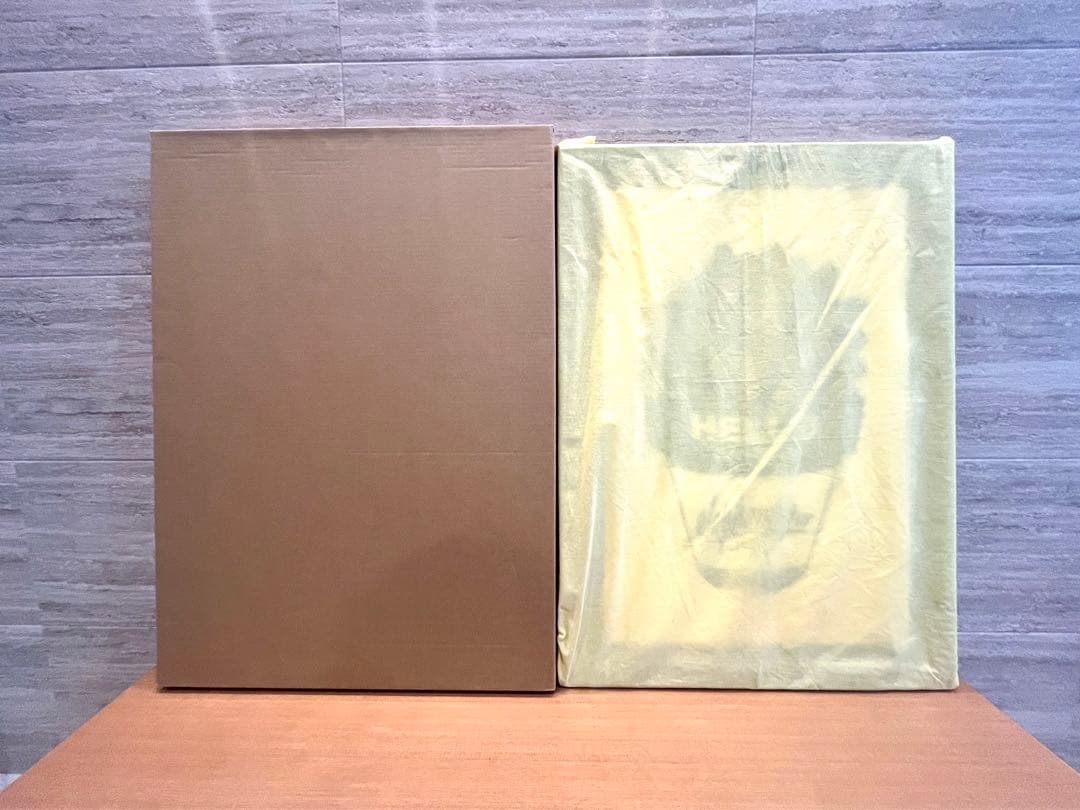 GIRUVI Dioscorea Elephantipes 亀甲竜