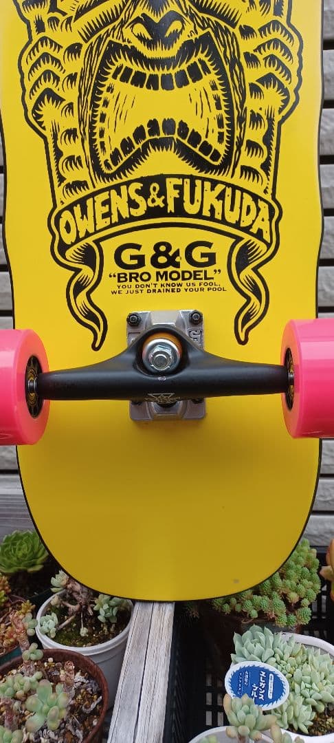  hawaiian ドッグタウン jay adams スケートボード