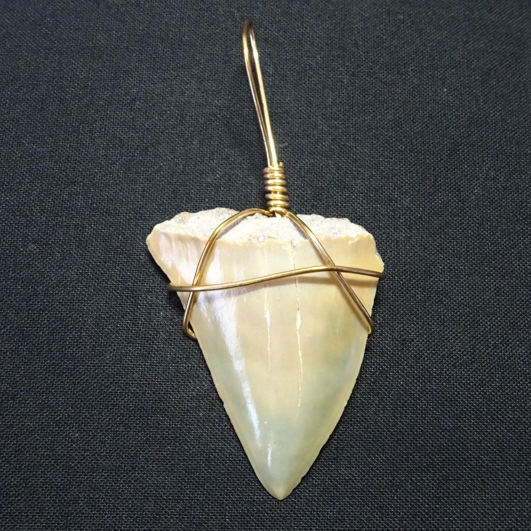 【サメの歯】のペンダントトップ