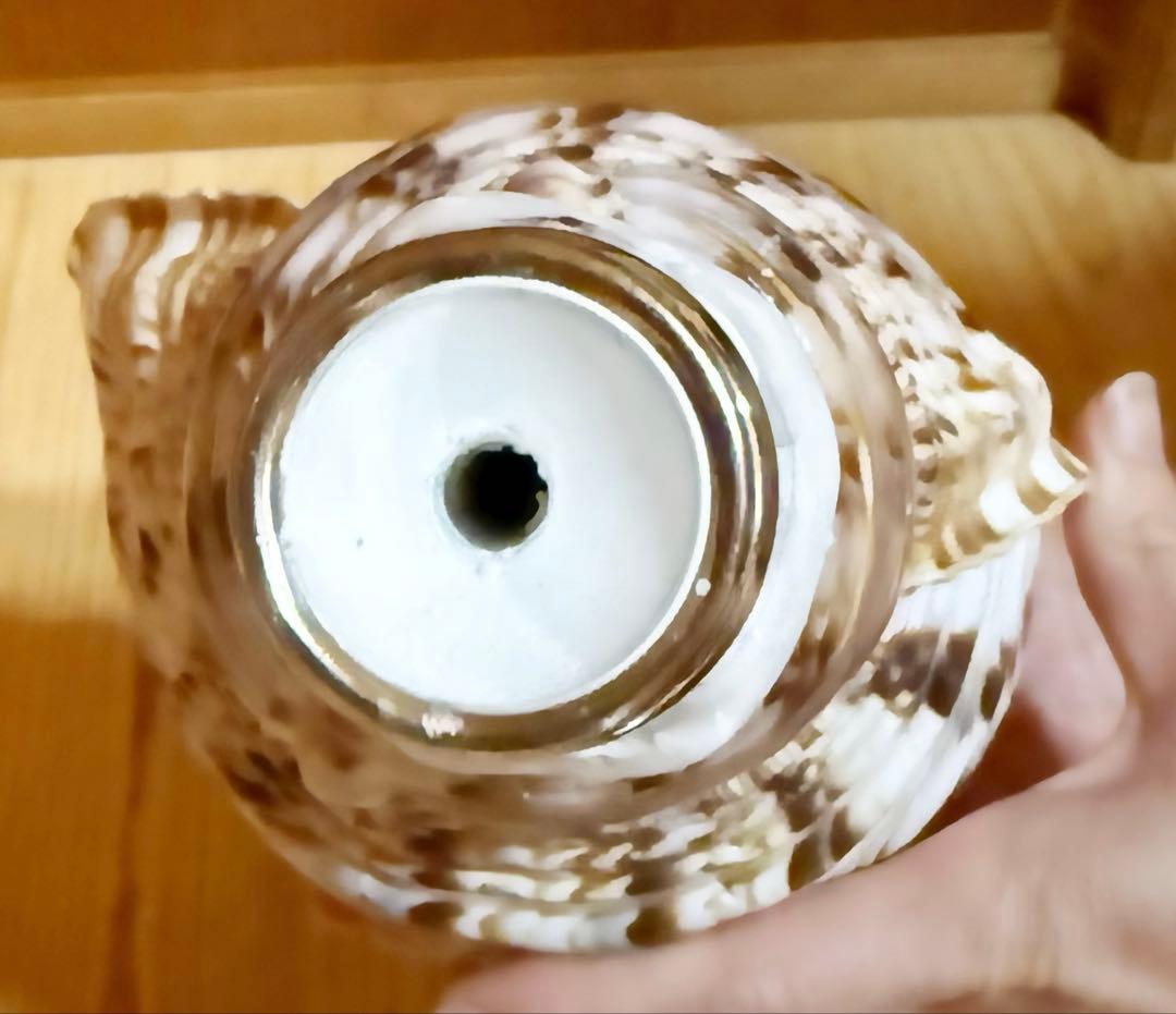 修験道法螺貝　山伏　密教　魔除け　熊よけ❣️ホラガイ　ほら貝