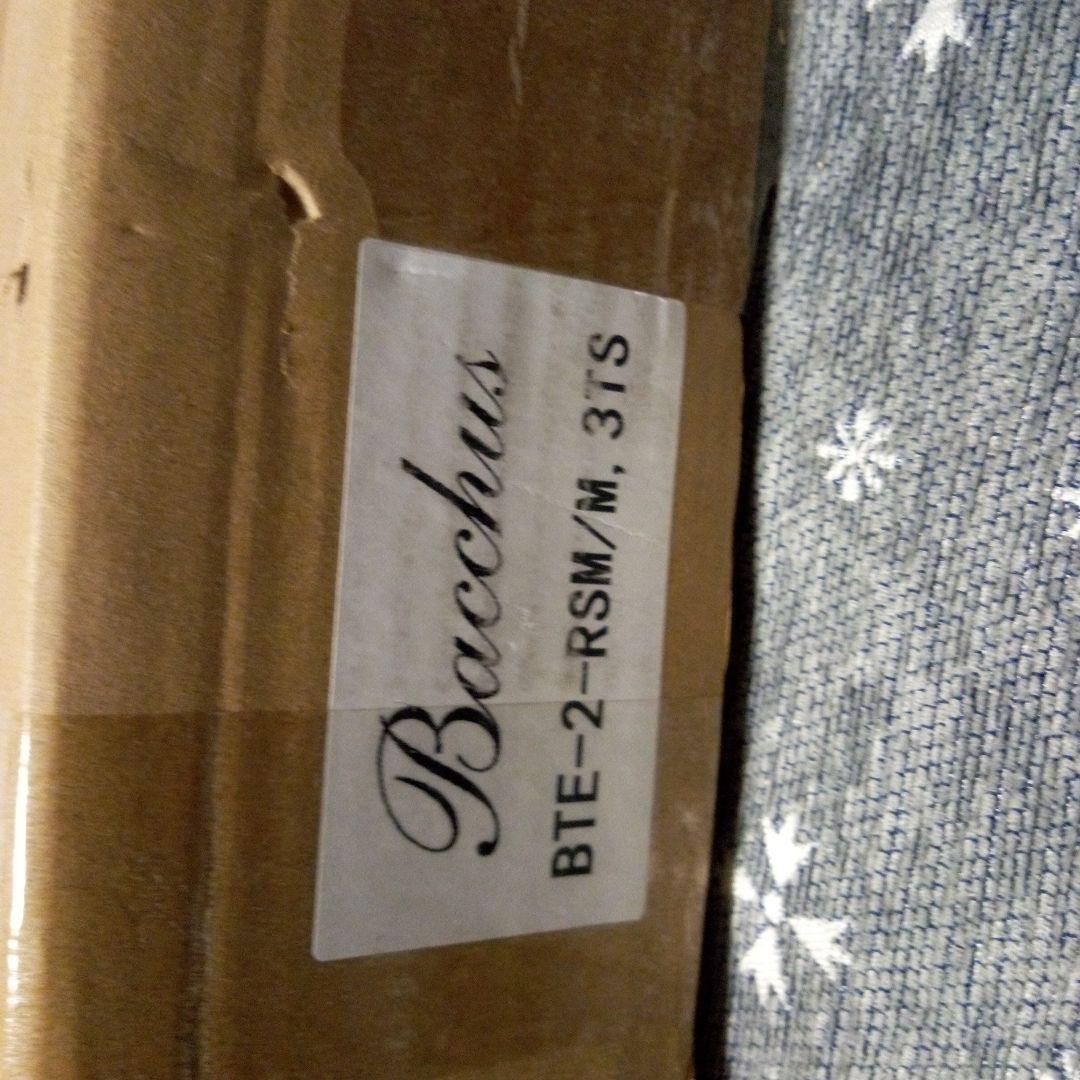 Bacchus BTE-2-RSM/M サンバースト エレキギター