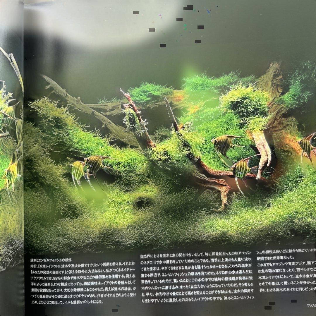 ガラスの中の大自然