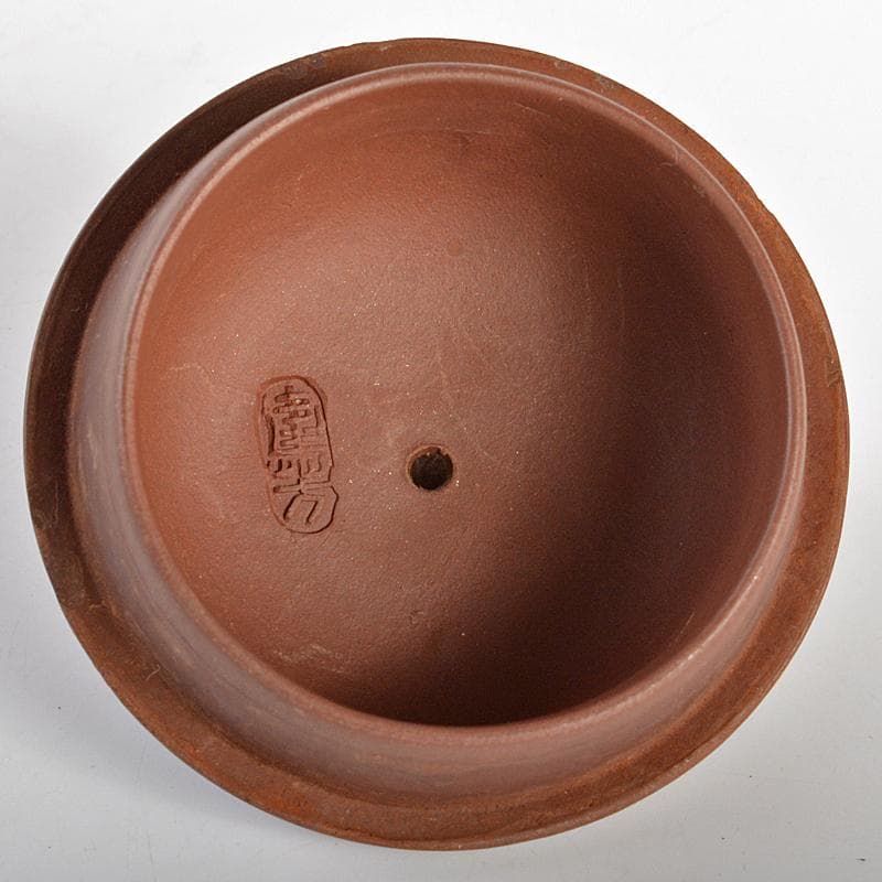 中国　陳建芳制款　紫砂　朱泥　急須　茶壷　V　R6878