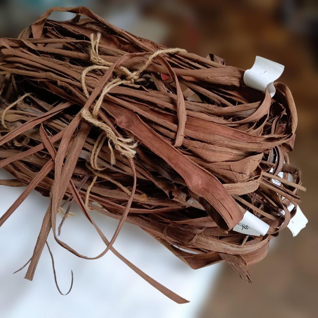 茶色の植物繊維 、山葡萄のつる、 未使用