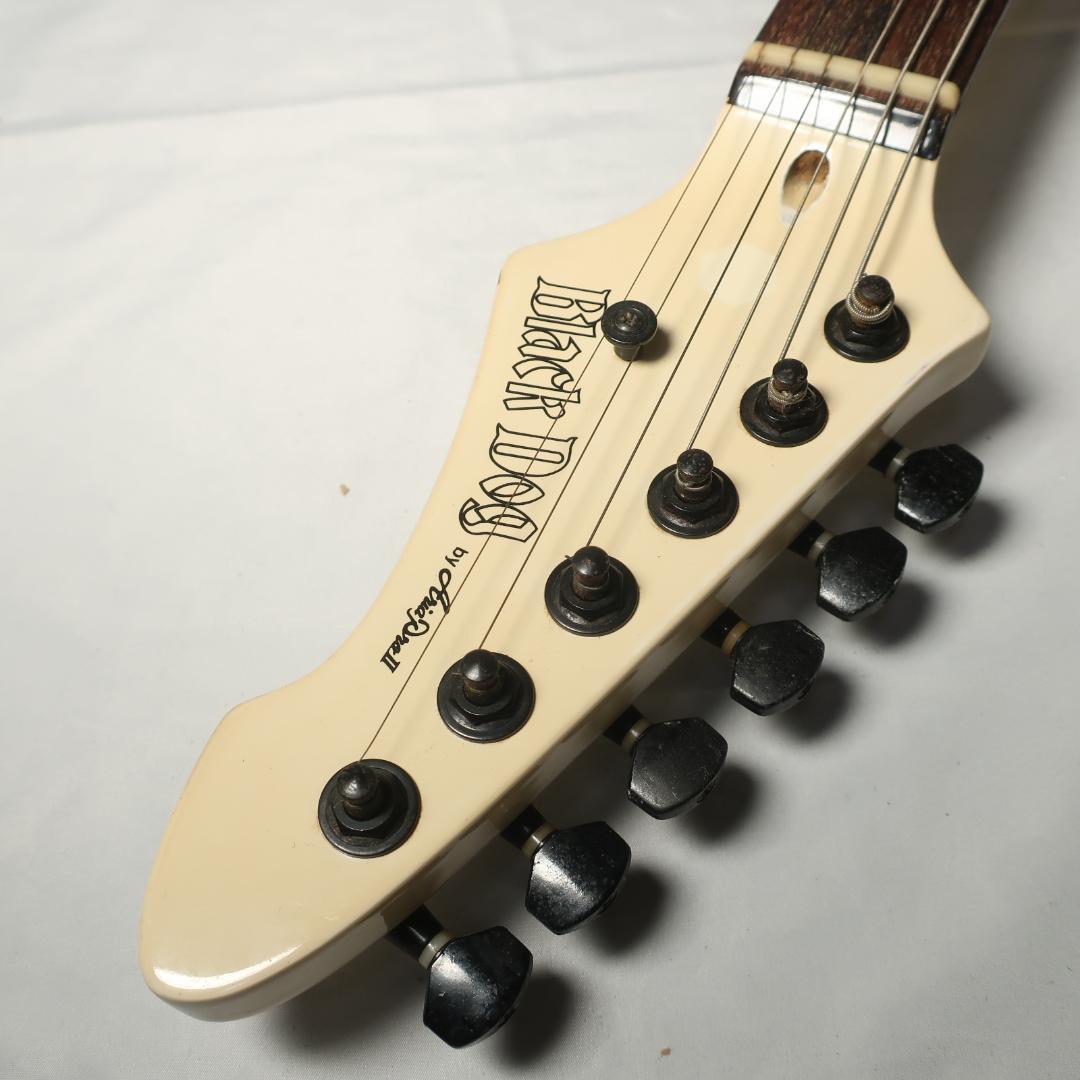 Black Dog by Aria ProⅡ ギター ケース付 コイルタップ搭載