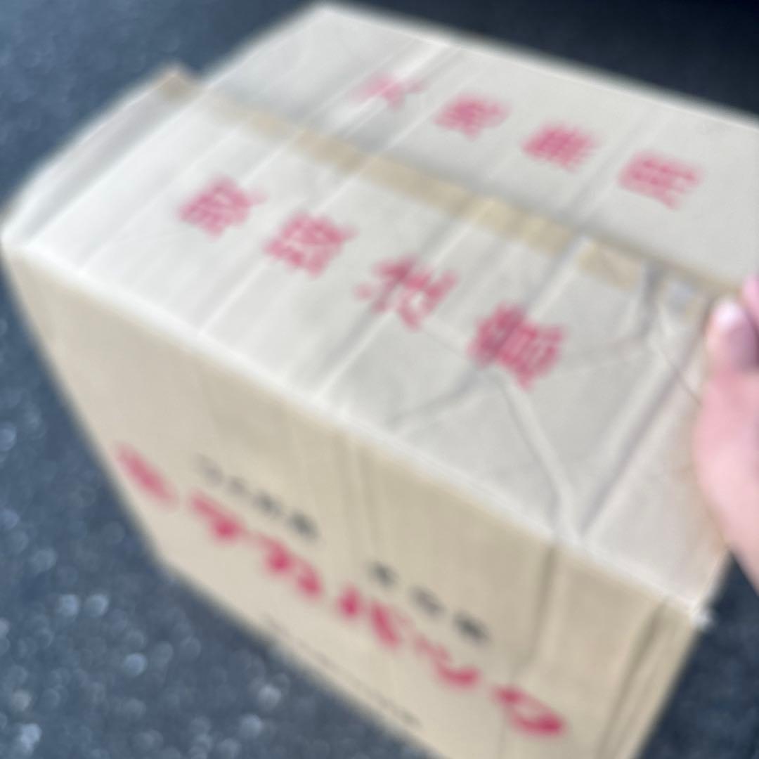 スタイルEENOUR インバーター発電機 3000W