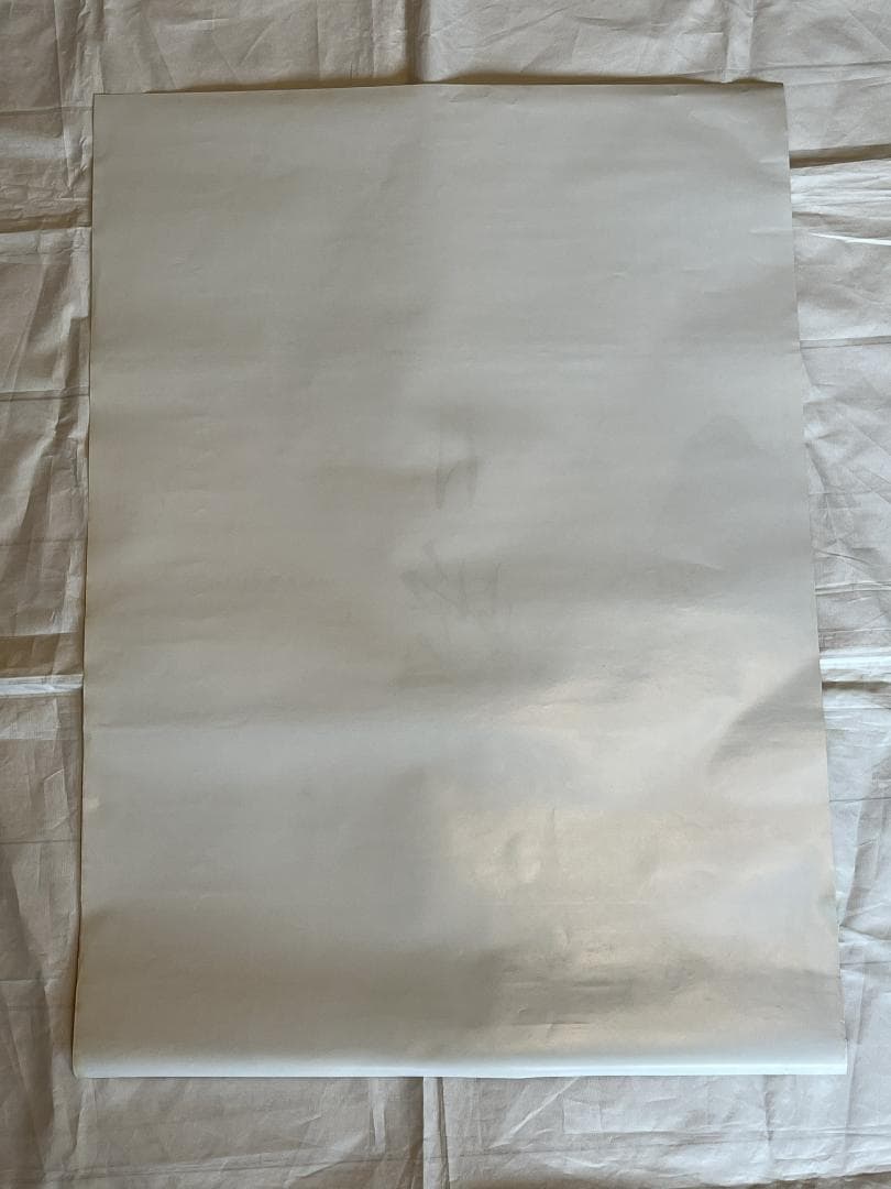 映画ポスター 当時物 青蛇 香港 張曼玉 マギー・チャン 王祖賢 ジョイ・ウォン