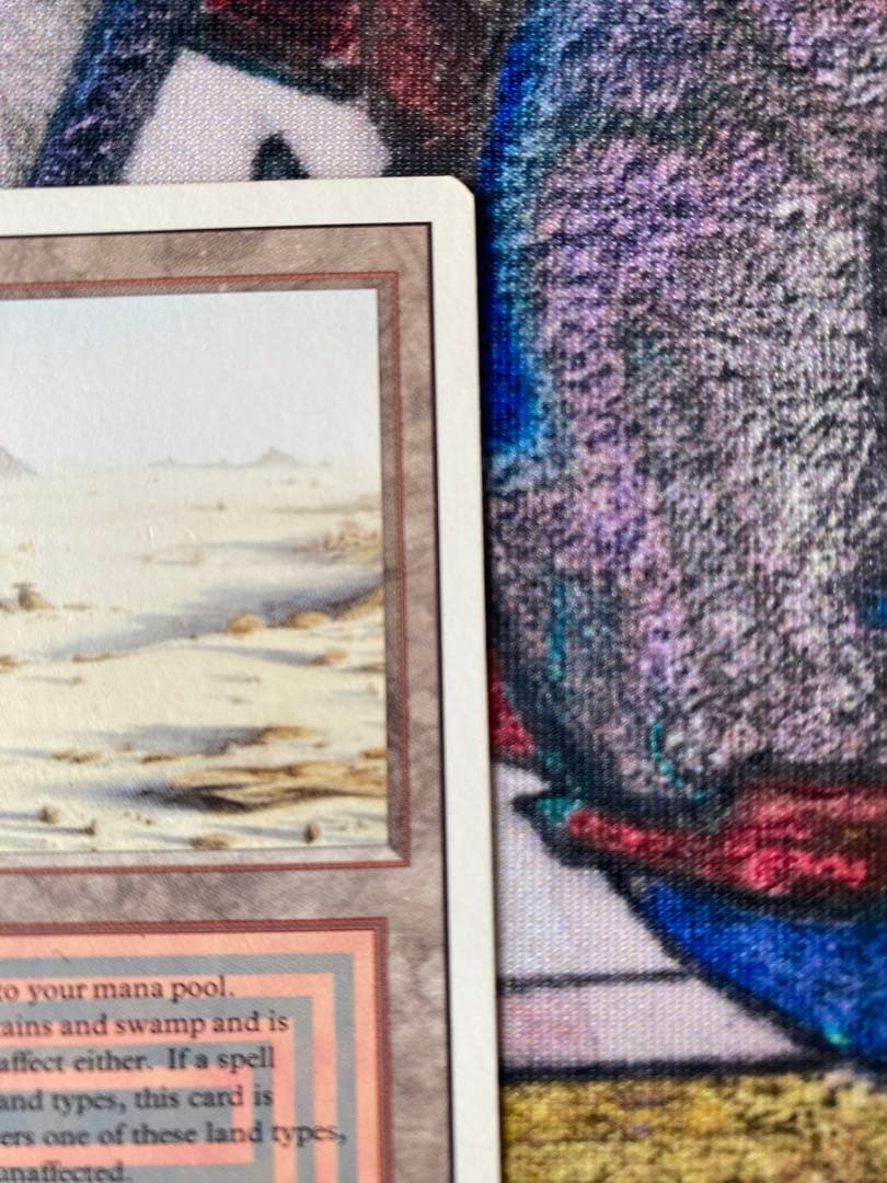 みっち【最安！】MTG Badlands 【3ED】リバイズド英語版