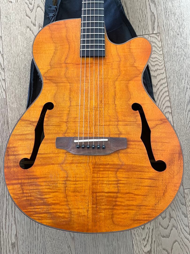 ARIA FET-F2 STBR エレアコ アコースティックギター