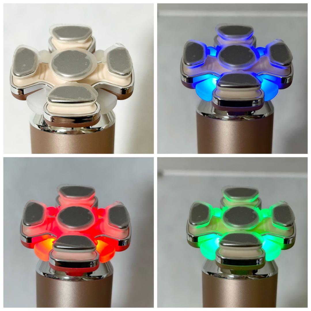 新品 未使用 ゾーガンキンブルーム　ZOGANKIN BLOOM