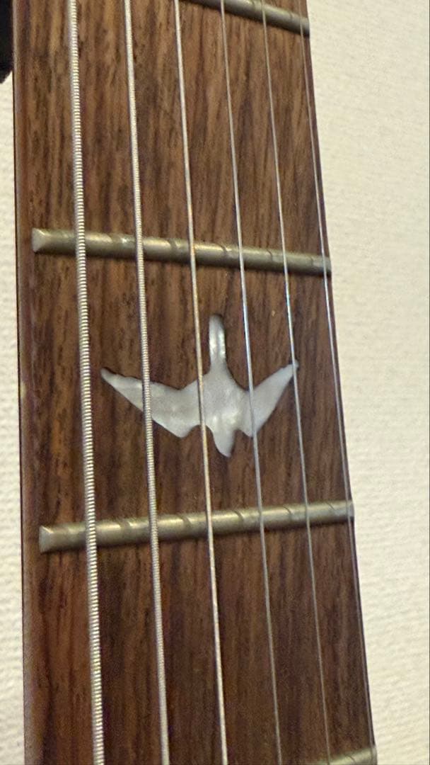 ギター PRS SE 25th Anniversary SE Custom 24