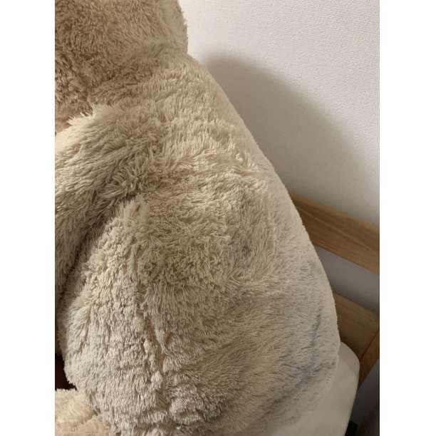 コストコ Costco　くま  熊 クマ くまさん ぬいぐるみ bear