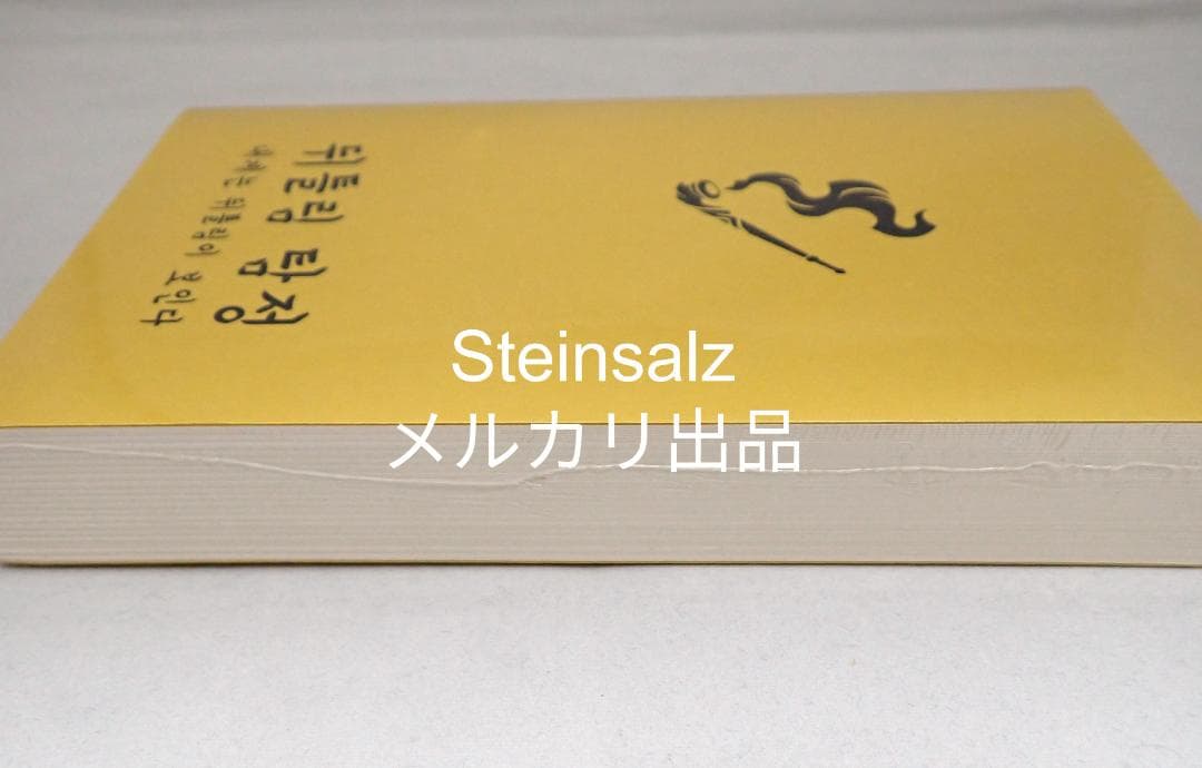 【韓国】ねじれ探偵　単行本　ロボトミーコーポレーション外伝小説