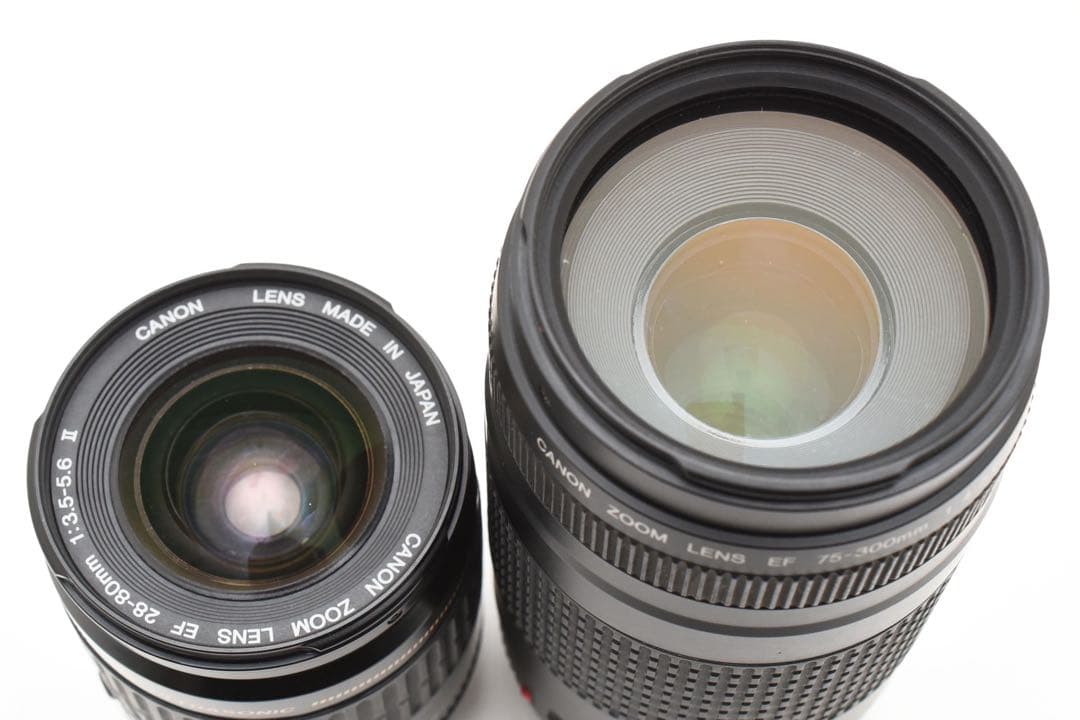 Canon EOS 7D MarkⅡ 標準&望遠ダブルレンズセット