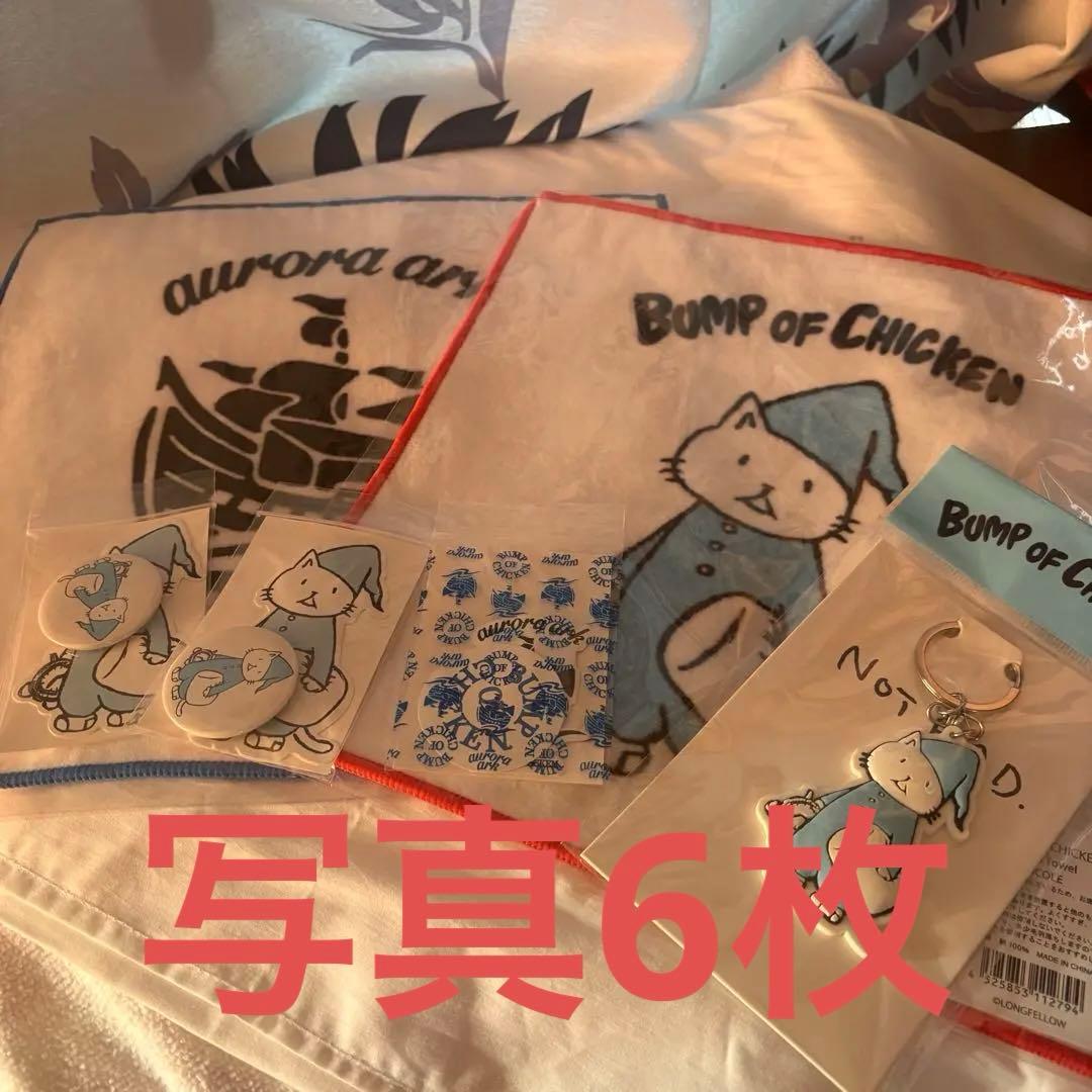 BUMP OF CHICKEN aurora arc グッズセット