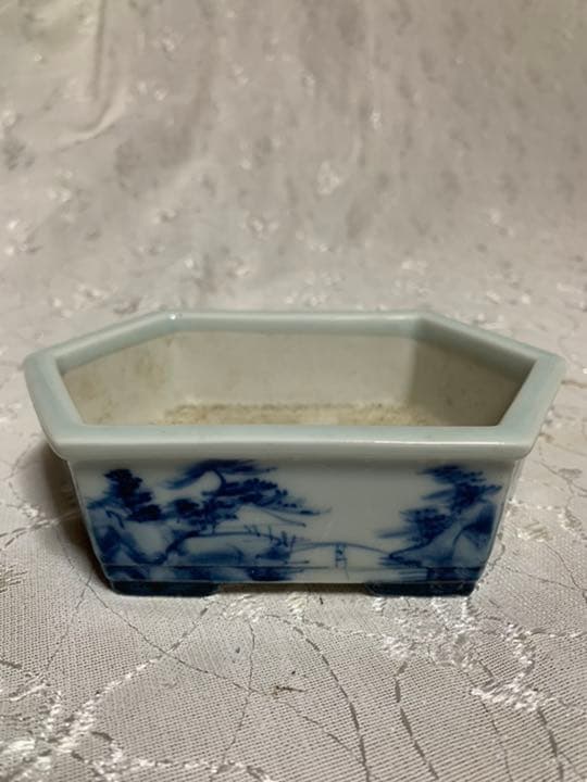 磯山　絵鉢　盆栽鉢　人気鉢！！