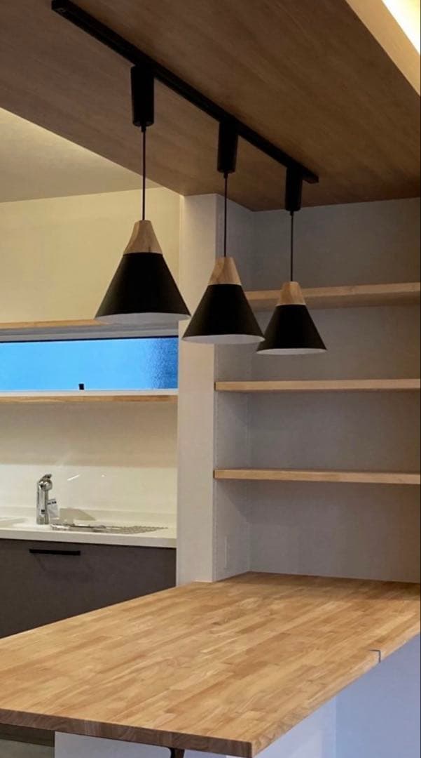 Kiven ペンダントライト ブラック E26 ダクトレール式