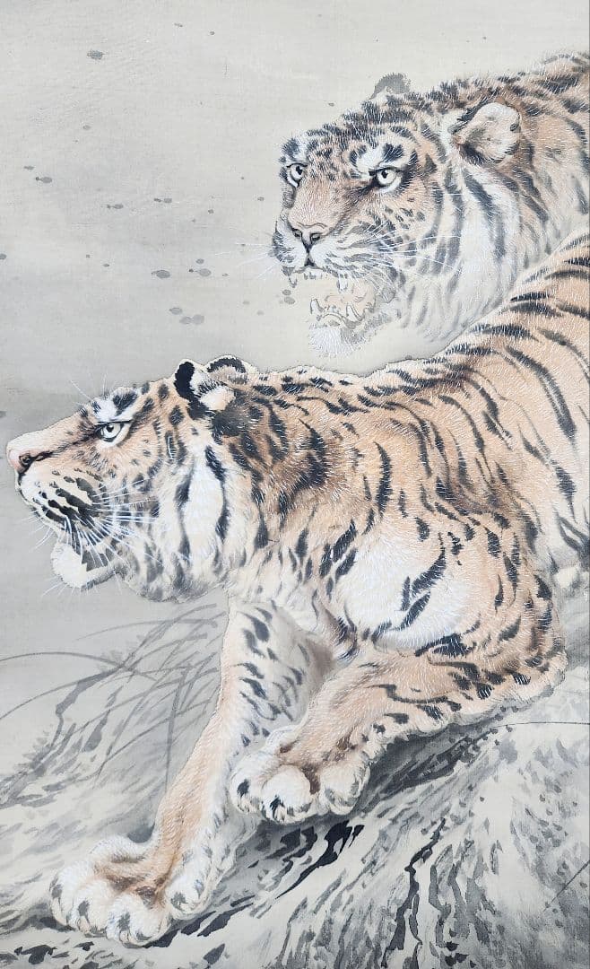 【双猛虎図】三尾呉石 2691 トラ 乕 掛け軸 肉筆