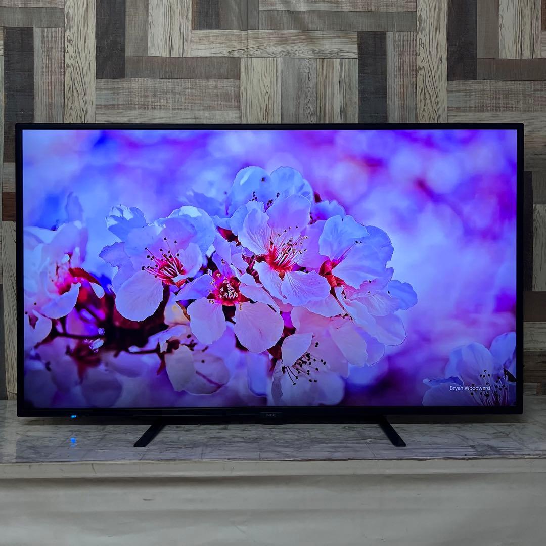 しまさん専用全国送料込。去年購入。耐久性抜群NEC49型4Kモニタースピーカー付