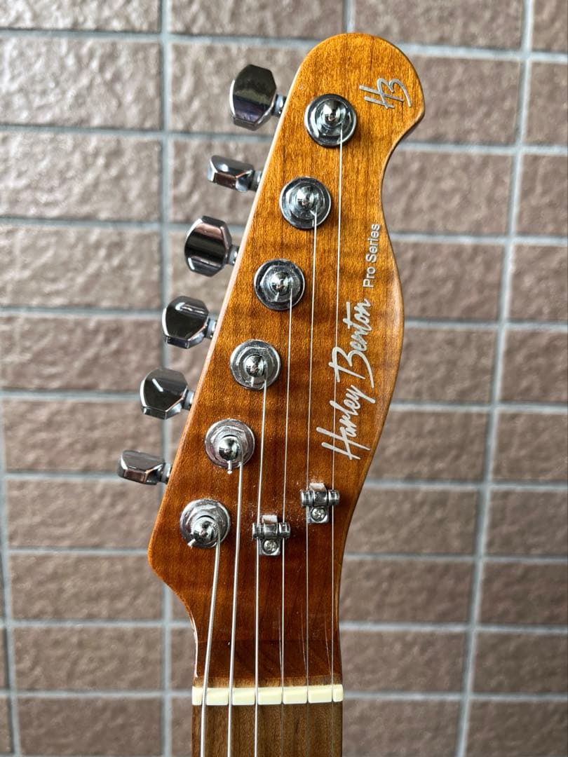 【動作◯】 Harley Benton Pro Series テレキャス