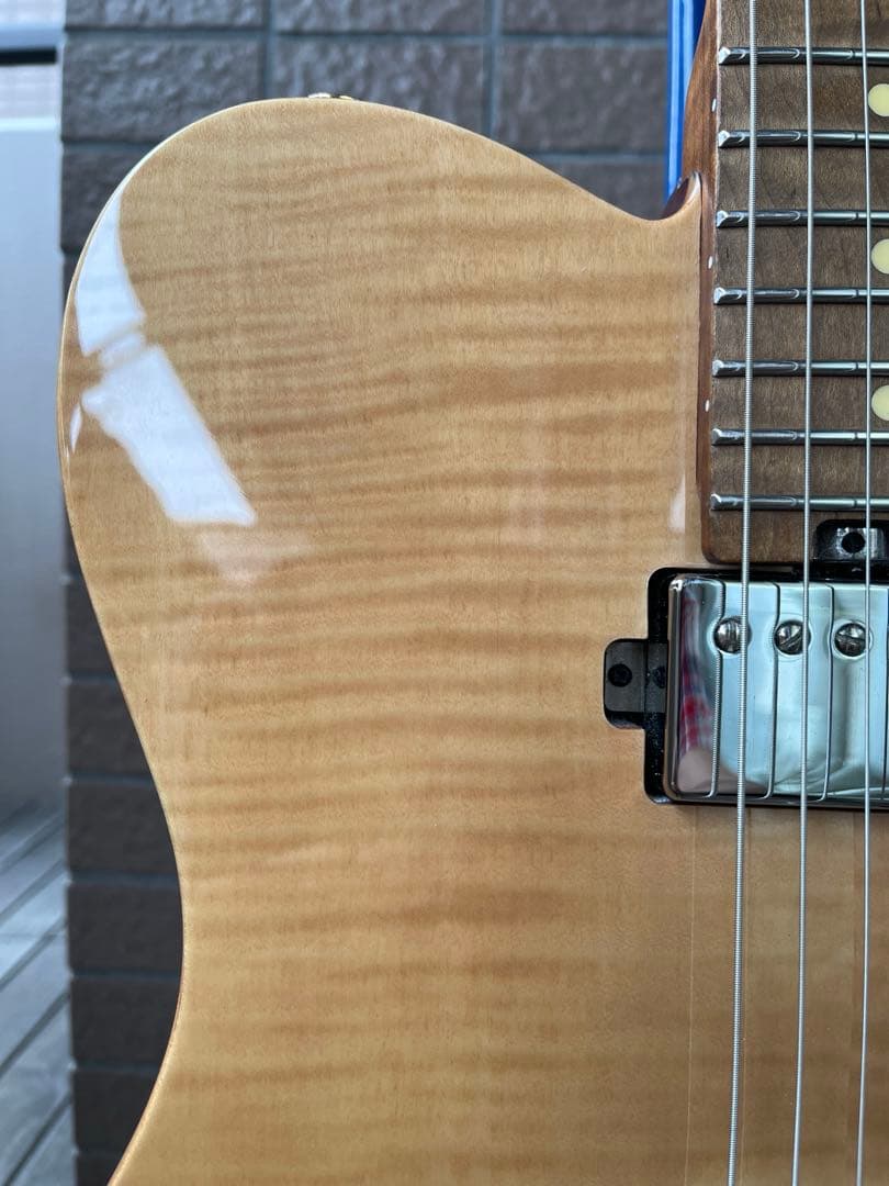 【動作◯】 Harley Benton Pro Series テレキャス