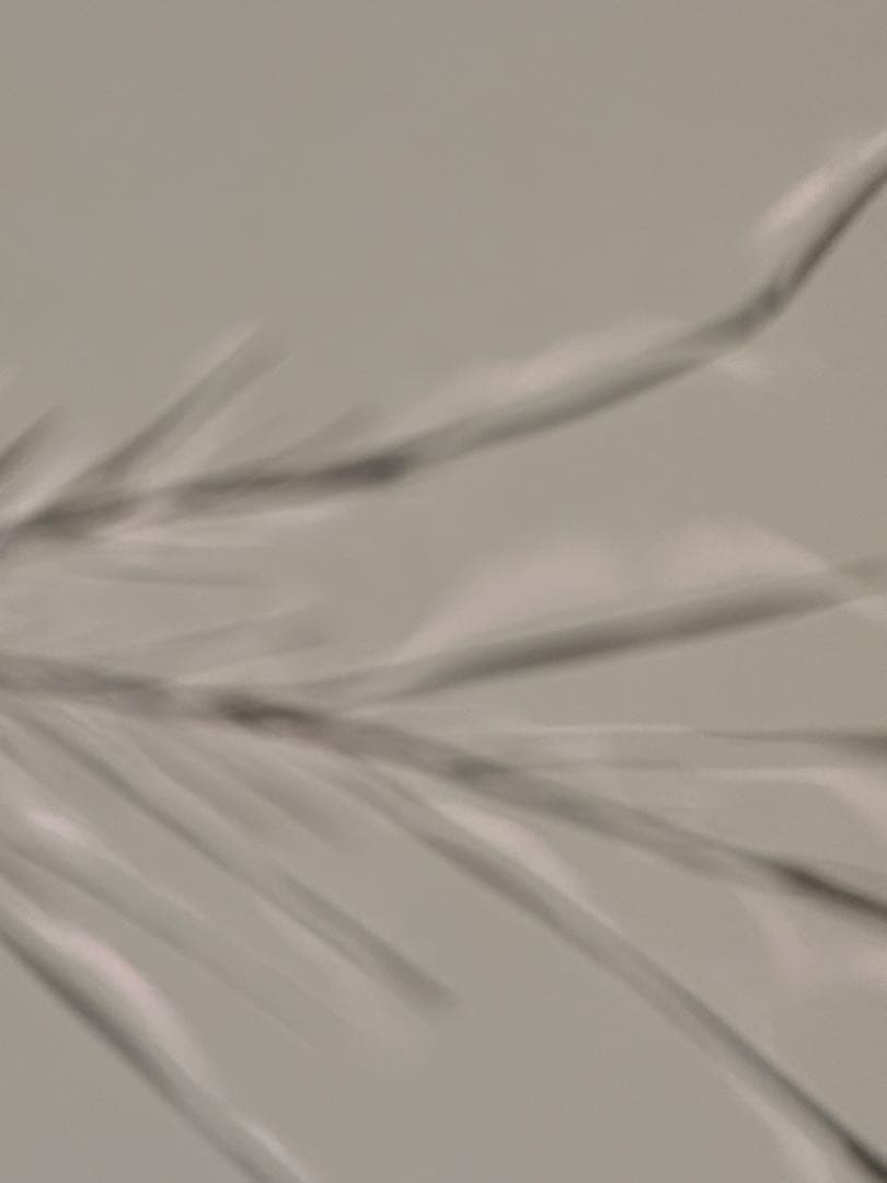 【元気】訳あり 海外 Apple iPhone 15 Pro Max 本体