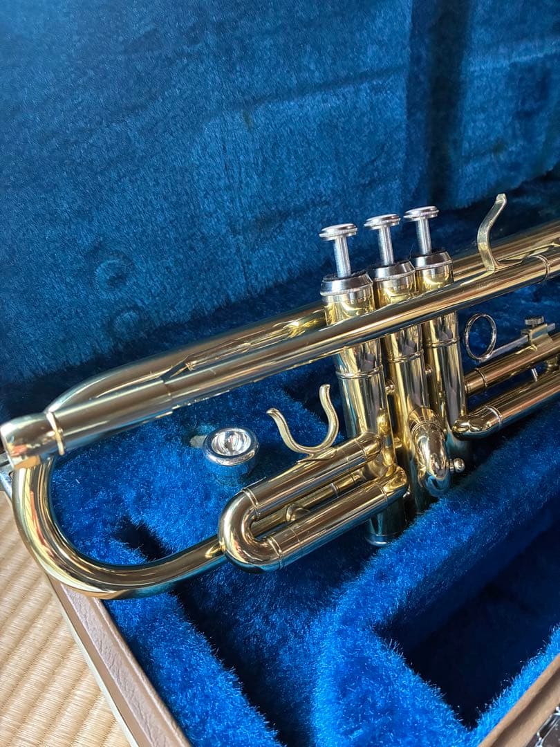 トランペット　本日限定値下げ