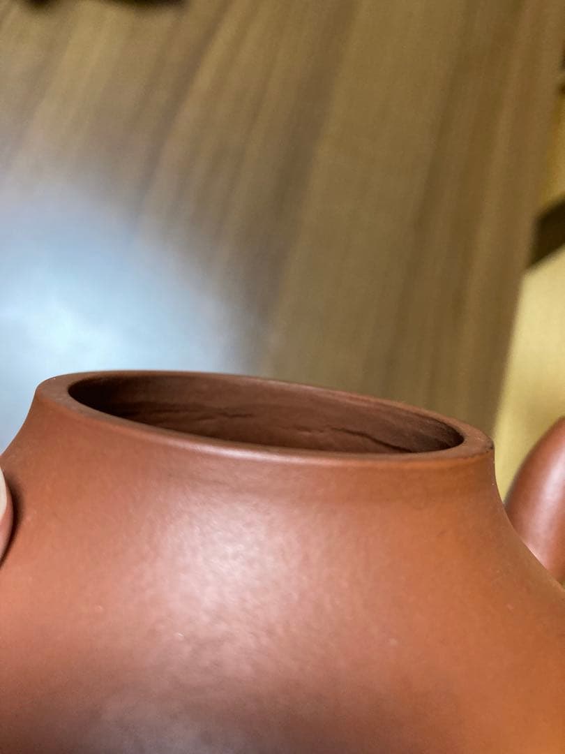 風約玉婆會白雪 孟臣 骨董品 急須 アンティーク 中国 茶器