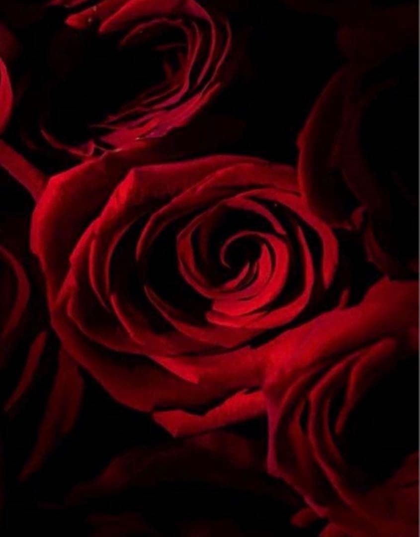 COACHパスキアコラボホワイト白二つ折り財布スナップウォレット.新品未使用品