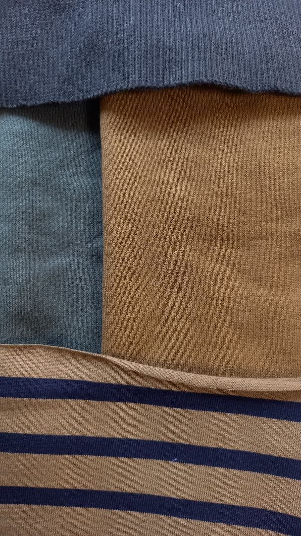 中型犬、大型犬サイズ