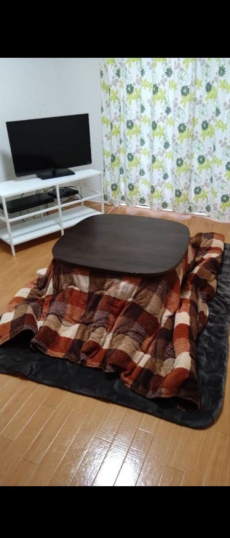 マナティ　こたつ